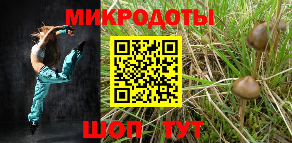 Псилоцибиновые грибы Magic Shrooms  Вход с VPN  Протвино  купить наркотики сайты  Галлюциногенные грибы Psilocybe 